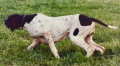 Pedigree IPPOCRATE DEL VENTO Pedigree IPPOCRATE DEL VENTO